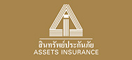 asset logo